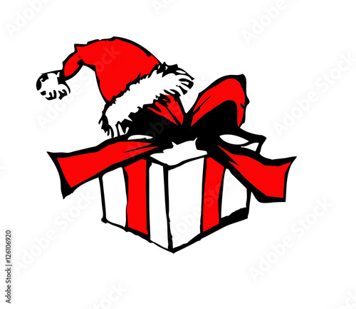 Geschenk mit Weihnachtsmütze