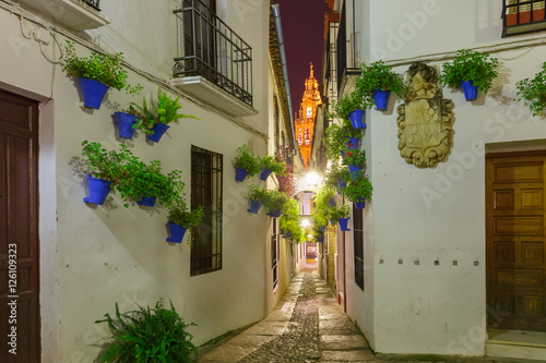 Flowers in flowerpot on the white walls on famous Flower street Calleja de las Flores and Bell Tower Mezquita in Cordoba at night  Andalusia  Spain