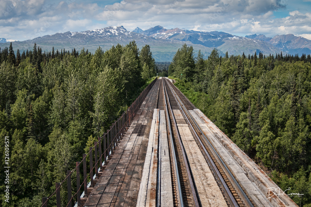Fototapeta premium Tracks to Denali