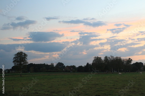 Umgebung von Niedersandhausen photo