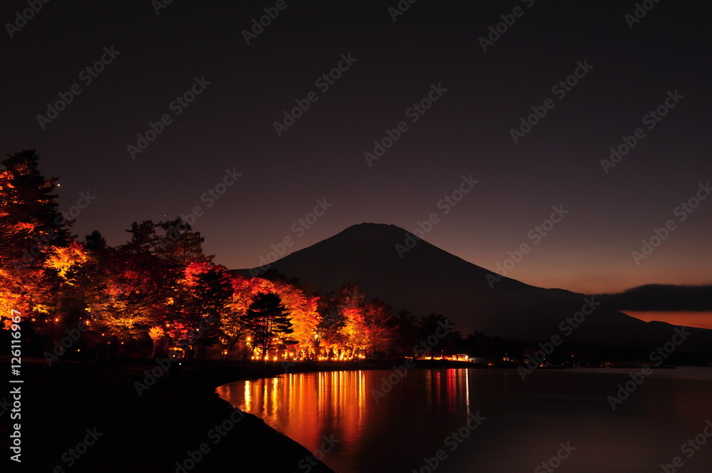 紅葉ライトアップと富士山