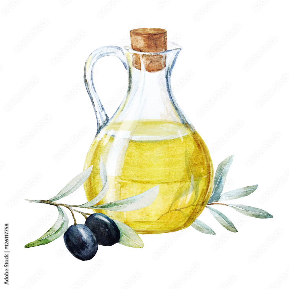 Watercolor olives and olive oil Watercolor olives and olive oil