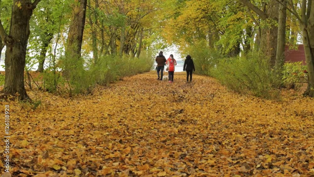 young model couple in love - autumn park(nature) - couple (man and woman) walking in park - couple holding hands - woman runs to man - couple kiss - couple embrace - happy couple. young model couple in love - autumn park(nature) - couple (man and woman) walking in park - couple holding hands - woman runs to man - couple kiss - couple embrace - happy couple.