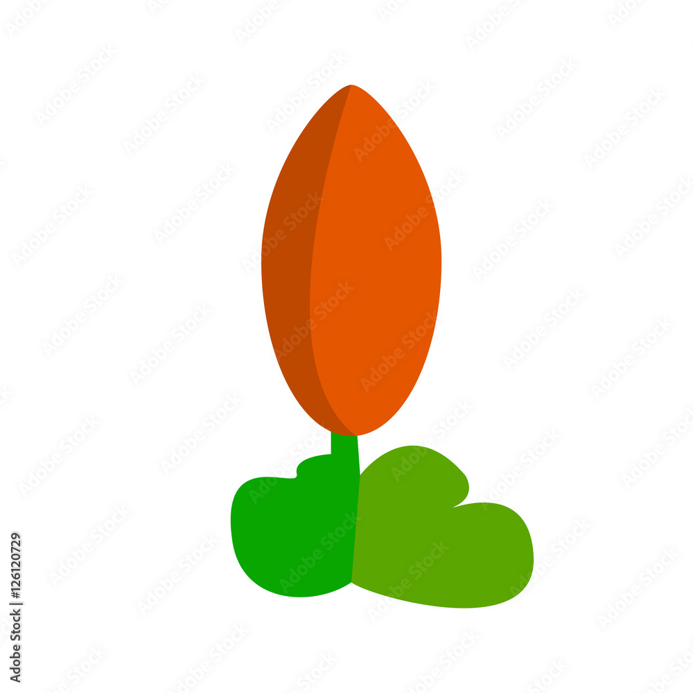 Carrot Vector Carrot Vector