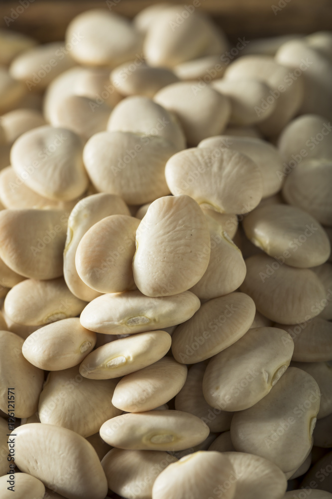 Dried White Organic Baby Lime Beans Dried White Organic Baby Lime Beans
