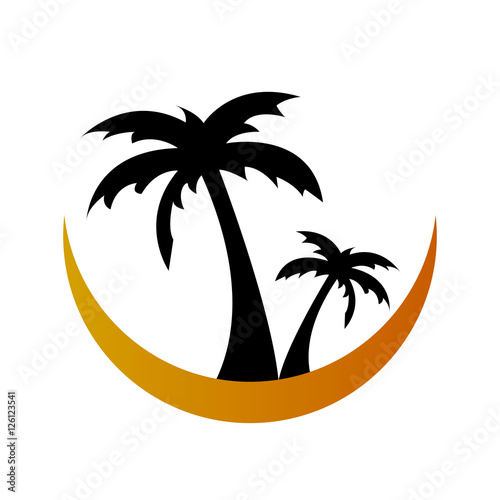 Palm Tree Vector