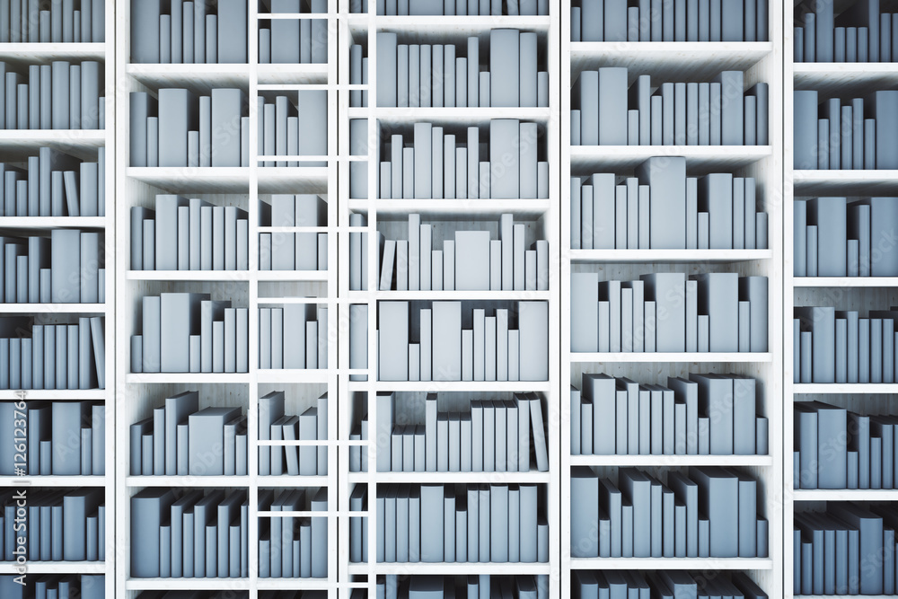 Obraz premium Library concept