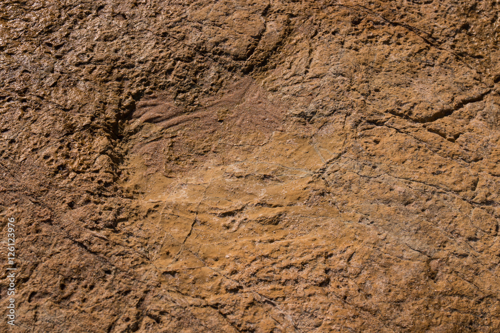 Dinosaur footprints on stone