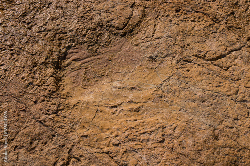 Dinosaur footprints on stone