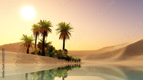 Oasis in the desert sand. Palm trees and a lake.
 photo