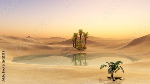 Oasis in the desert sand. Palm trees and a lake.
 photo