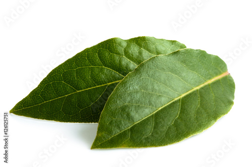 Two bay leaves isolated on white.