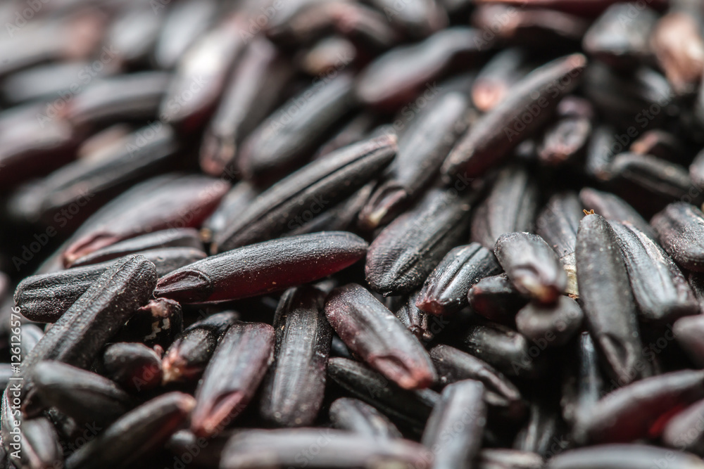 Raw grain in Thailand, name:  rice berry (Jasmine black rice).