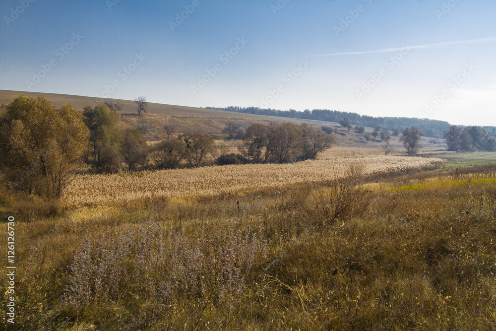 autumn country hilly landscape