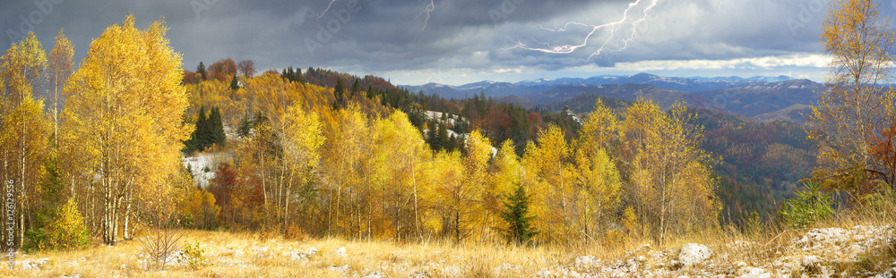 Golden Forest Ridge Sokilsky