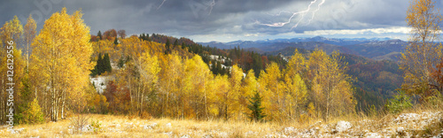 Golden Forest Ridge Sokilsky