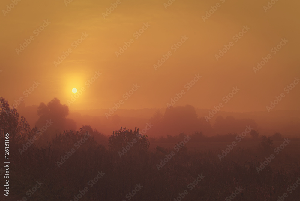 Fototapeta premium Sonnenaufgang im Nebel