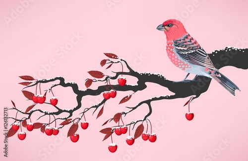 Pink bird on cherry branch