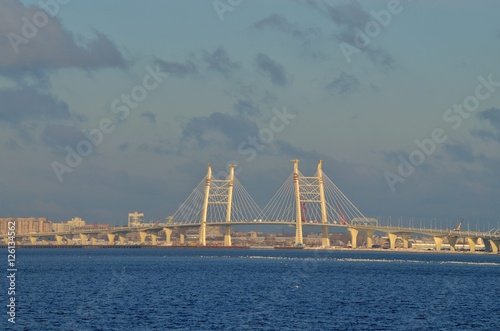 Cable-stayed bridge in the Bay.