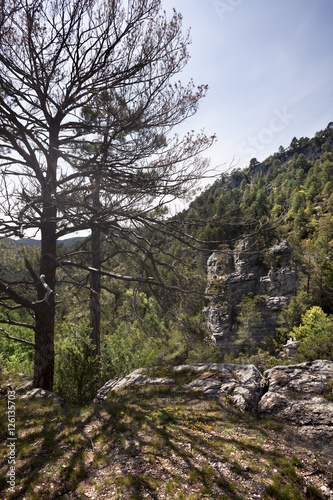 Mountains of Los Ports