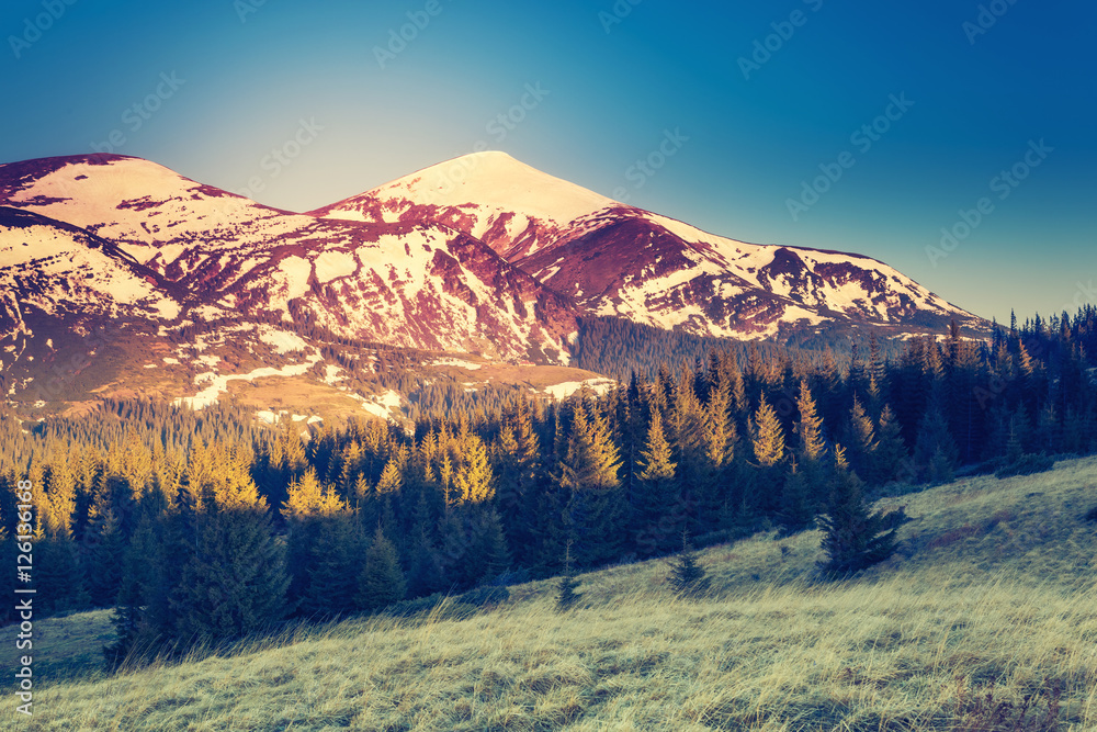 Obraz premium magical mountains landscape