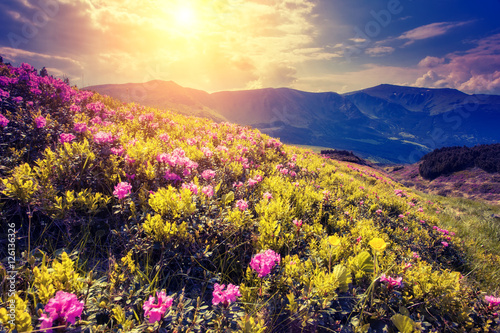 mountains landscape at sunset