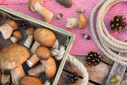 Raw white mushrooms, pine cones and decorations