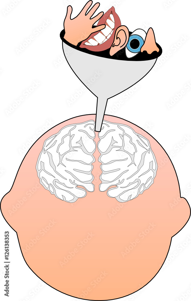 Entwicklungspsychologie - Gehirnentwicklung Entwicklungspsychologie - Gehirnentwicklung