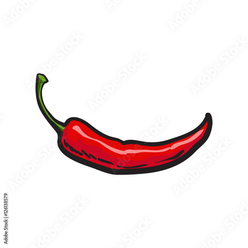 Hand drawn red hot chili pepper, sketch style vector illustration isolated on white background. Chili pepper, spice, traditional ingredient of Mexican cuisine