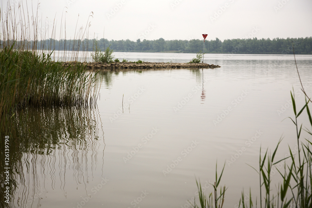 Dutch river Nieuwe Merwede, Biesbosch National Park, Netherlands Stock