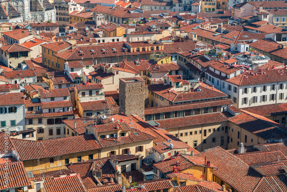 Panorama of the Florence city