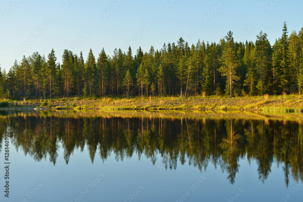 Reflection. Coastline of northern lake. Lapland, 
