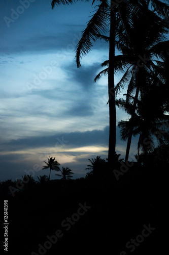 Tropical Sunset Scene Portho Gallinhas Brazil photo