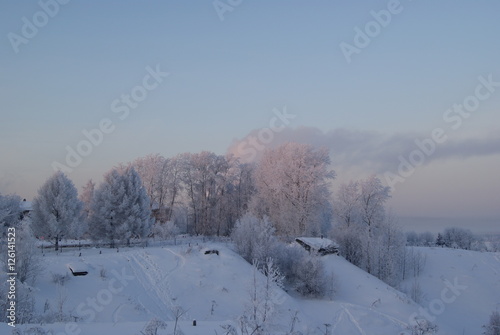 Winter forest © Igor