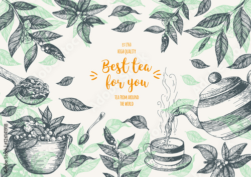 Tea Shop vector illustration. Vector card design with tea. Tea house poster. Vector hand drawn set. Linear graphic