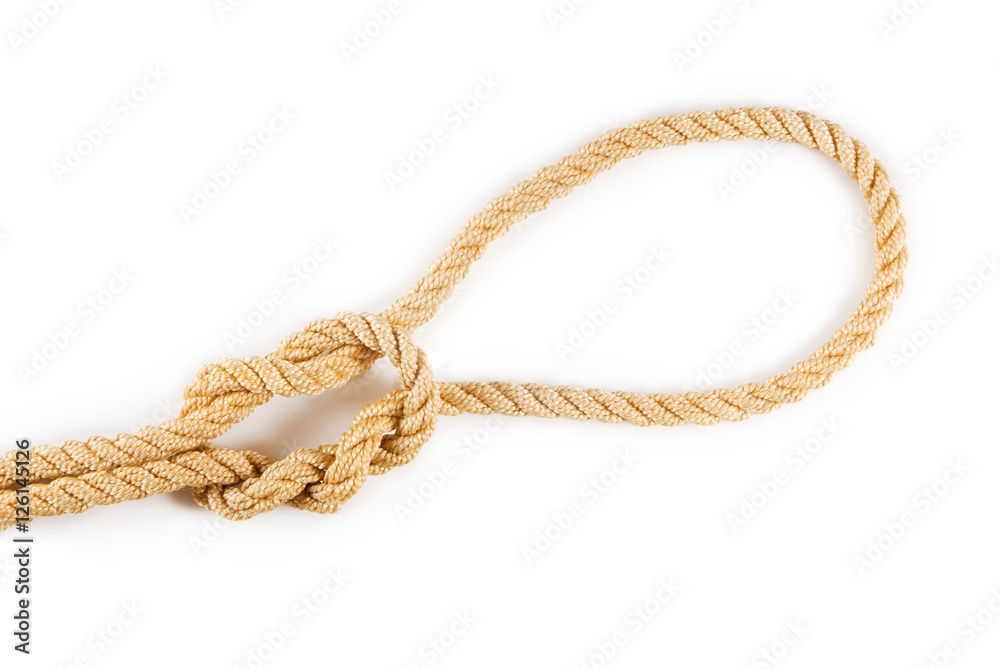 image of noose on white background close up