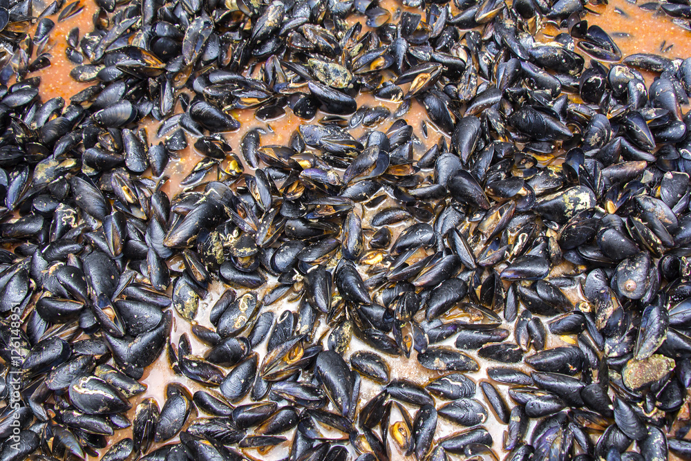 Mussels in red sauce in big cauldron on a Street market Mussels in red sauce in big cauldron on a Street market
