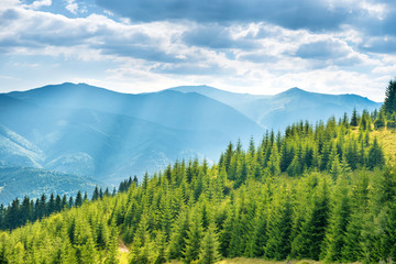 Fotobehang Heuvel Zonovergoten groene heuvels in zomer  © Pavlo Vakhrushev