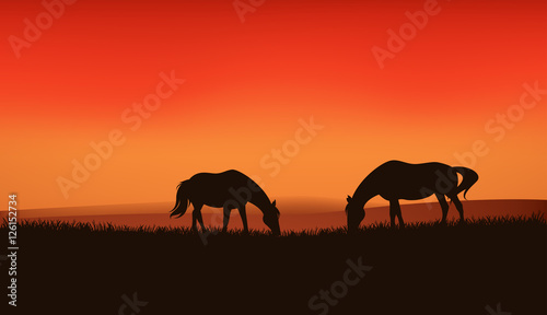 horses at sunset vector landscape