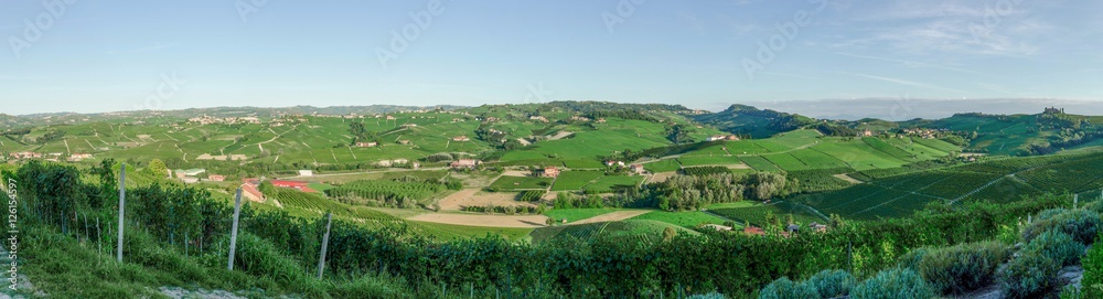 Vineyards of Alba, Langhe and Roero Vineyards of Alba, Langhe and Roero