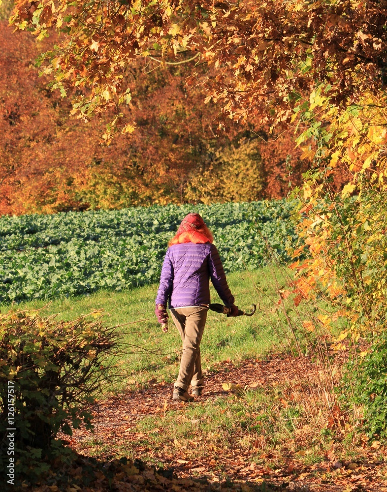 Fototapeta premium Herbstspaziergang
