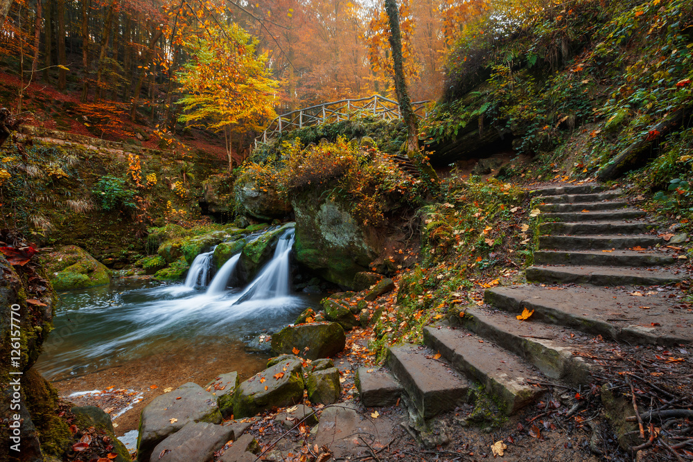 Fototapeta premium Automne enchanté sur la cascade de Schiessentumpel