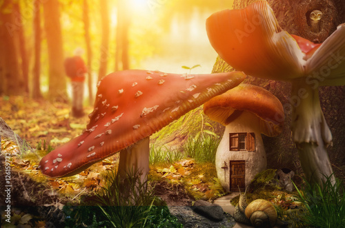 mushroom fairy house