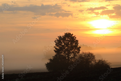 Early morning sun over the rural countryside