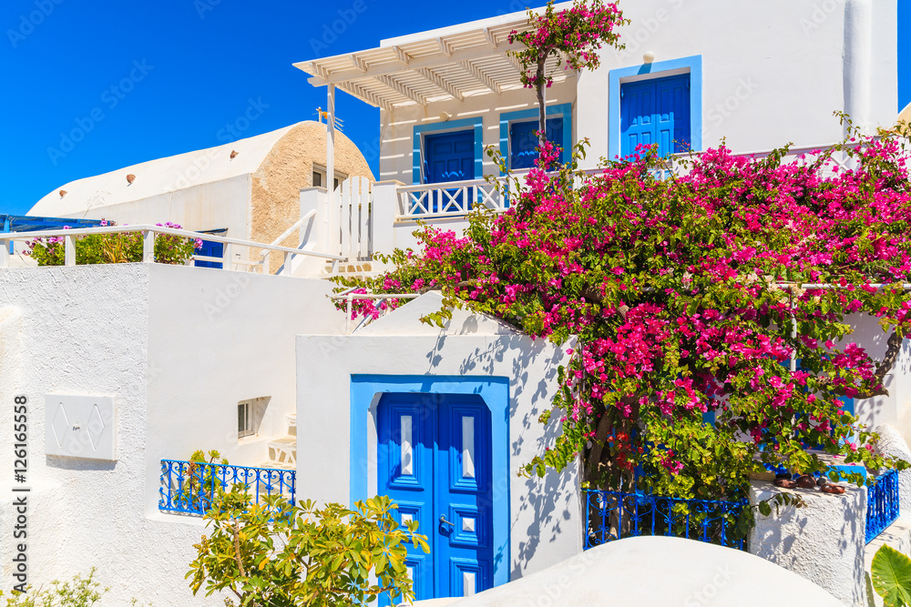 Typical white and blue Greek house decorated with red flowers in Oia ...