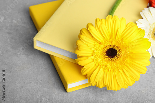 Fototapeta Naklejka Na Ścianę i Meble -  Yellow books and gerbera flower on grey background