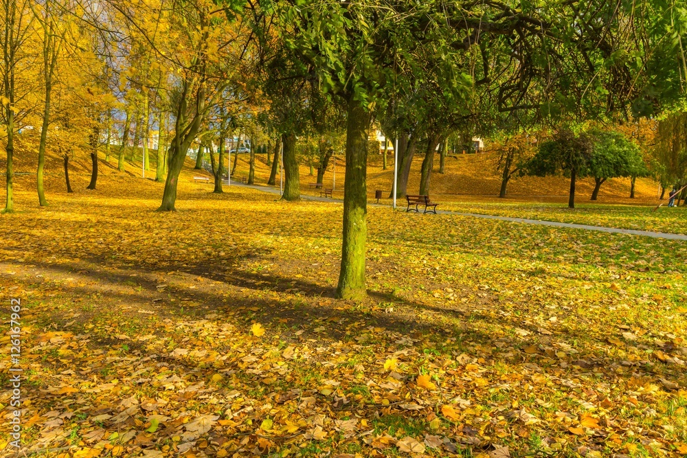 Colorful fall park in small city in Poland