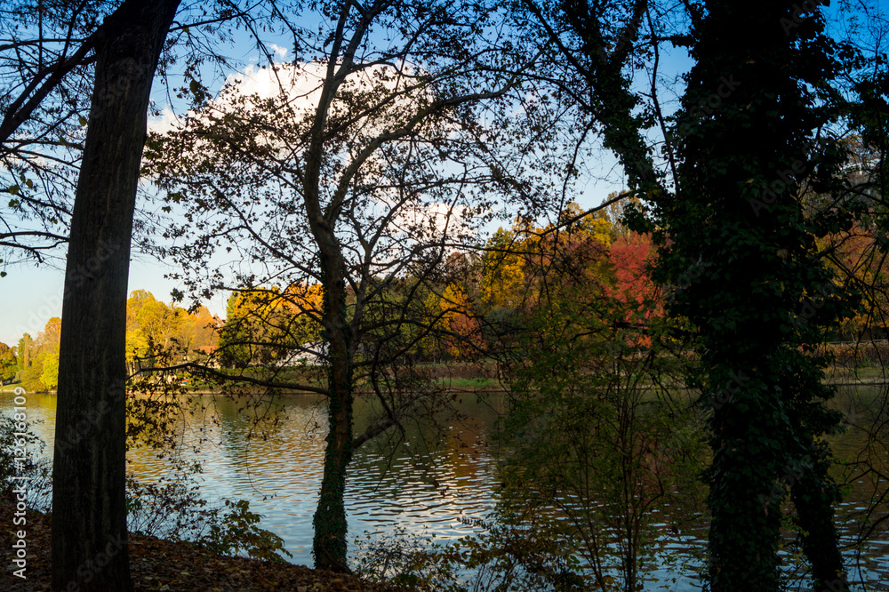 Fototapeta premium Colorfull italian park with trees and autumn colors and water