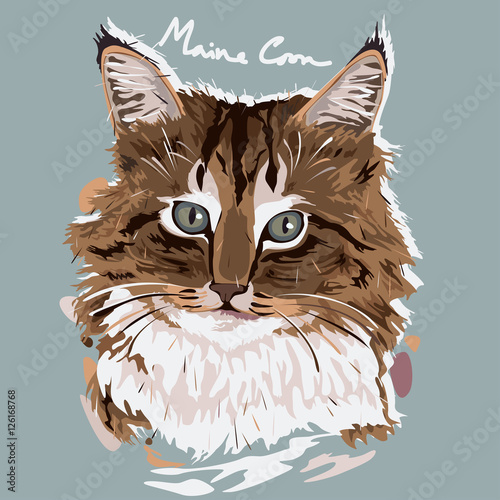 Maine Coon Painting Poster