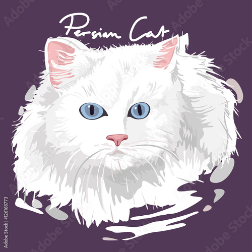 Persian Cat Painting Poster